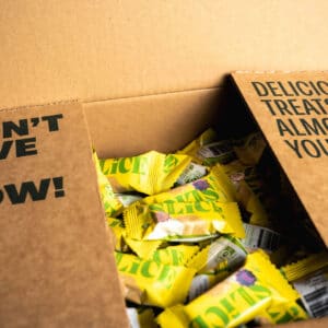 Springhill Farm SLICE Lemon 25g - 200 Piece Carton
